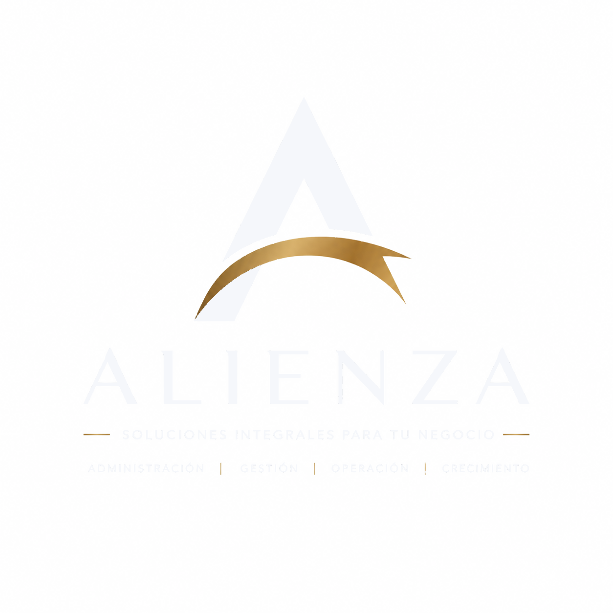 ALIENZA, soluciones integrales para tu negocio